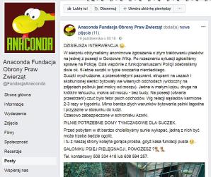 Artur G., który uprowadził dziecko Agnieszce Potapińskiej z Dębna (województwo zachodniopomorskie) niemal zagłodził własne psy! Interweniowały służby, bo jego owczarki niemieckie mogły zdechnąć we własnych odchodach!