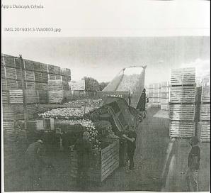 Czy Santander Bank Polska potrafi chronić swoich klientów przed wyłudzeniami? Kolejna Polka straciła ponad 16 tysięcy euro! I nie uzyskawszy pomocy od banku ani szczegółowego wyjaśnienia, zwróciła się o pomoc do Krzysztofa Rutkowskiego!