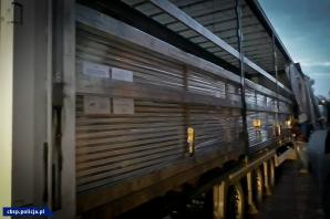 [VIDEO] Szlak przemytu papierosów do Wielkiej Brytanii zlikwidowany przez CBŚP i KAS