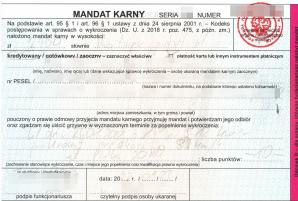 [VIDEO] Z rodziną i psami jechał z prędkością ponad 200 kilometrów na godzinę