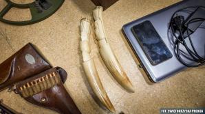 [VIDEO] Skuteczny „strzał” w nielegalną broń i amunicję