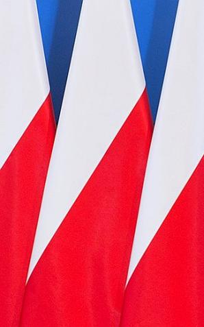 Ratunek dla Puszczy Białowieskiej