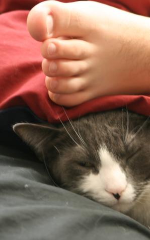 1/3 Polaków nie podejmuje żadnej aktywności fizycznej. Do uprawiania sportu chcą zmobilizować podwładnych pracodawcy