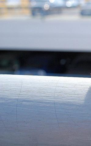 W Polsce z każdą sekundą ubywa 105 pszczół. Ekolodzy zachęcają do stwarzania miejsc z pokarmem i schronieniem dla owadów