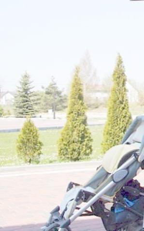 Polska w pierwszej czwórce państw, obok Chorwacji, Węgier i Czech, z najlepszymi świadczeniami dla matek 