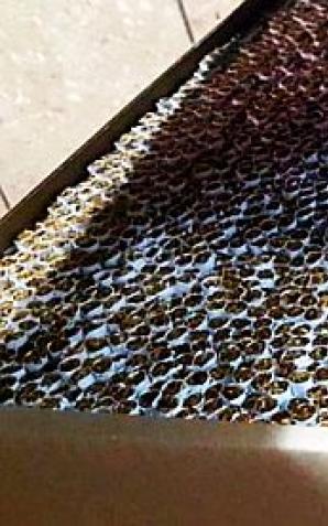 Trzebnica: Zlikwidowano fabryka nielegalnych papierosów