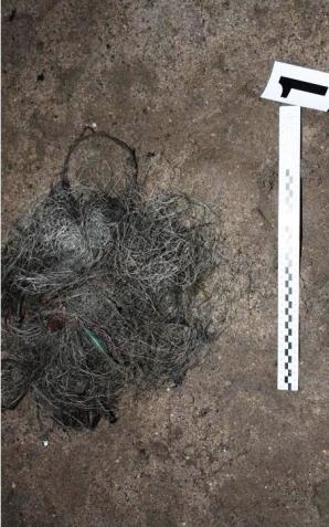 Policjanci z Polanicy Zdroju zatrzymali trzech mężczyzn, którzy są podejrzewani o nielegalny połów ryb