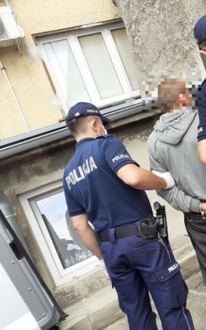 [VIDEO] Policjanci zlikwidowali uprawę konopi indyjskich - tymczasowy areszt dla podejrzanego