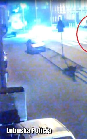[VIDEO] Przerażające potrącenie kobiety na przejściu dla pieszych. Policjanci apelują o szczególną ostrożność