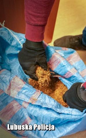 [VIDEO] Skarb państwa mógł stracić nawet ćwierć miliona złotych. Nielegalne papierosy zabezpieczone, podejrzany zatrzymany