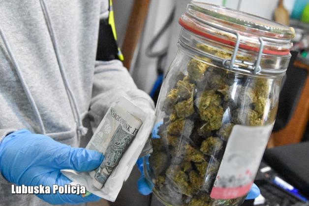 [VIDEO] Policjanci rozbili zorganizowaną grupę przestępczą handlującą narkotykami - siłowe wejście kontrterrorystów