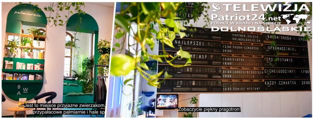 [VIDEO] ZOBACZ GDZIE najlepiej CZEKAĆ NA POCIĄG we Wrocławiu!